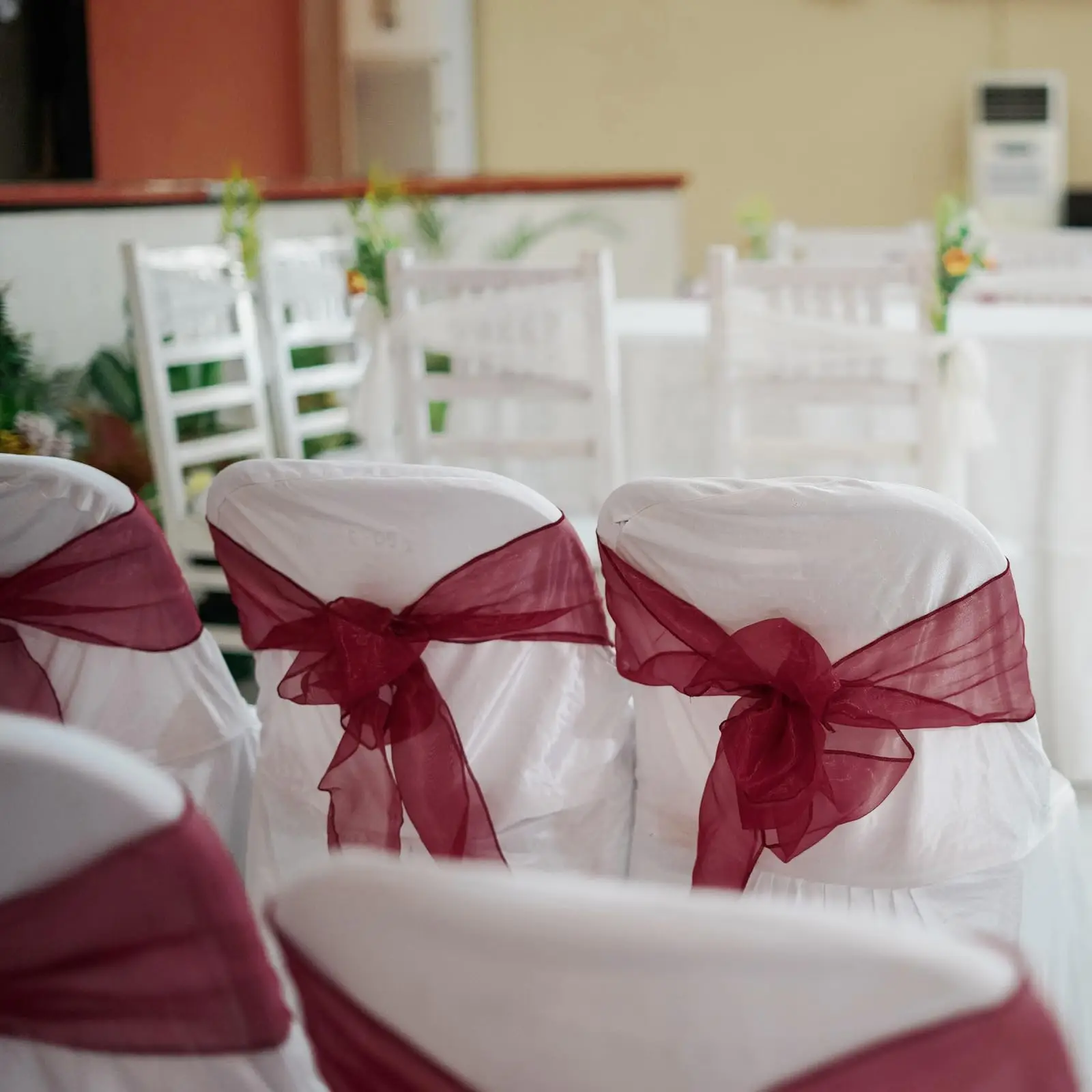 أربطة عقدة الأورجانزا للكرسي ، - مراجعة Chair Sash Organza وسعره